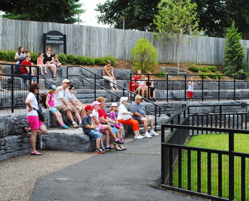 Hardscape management